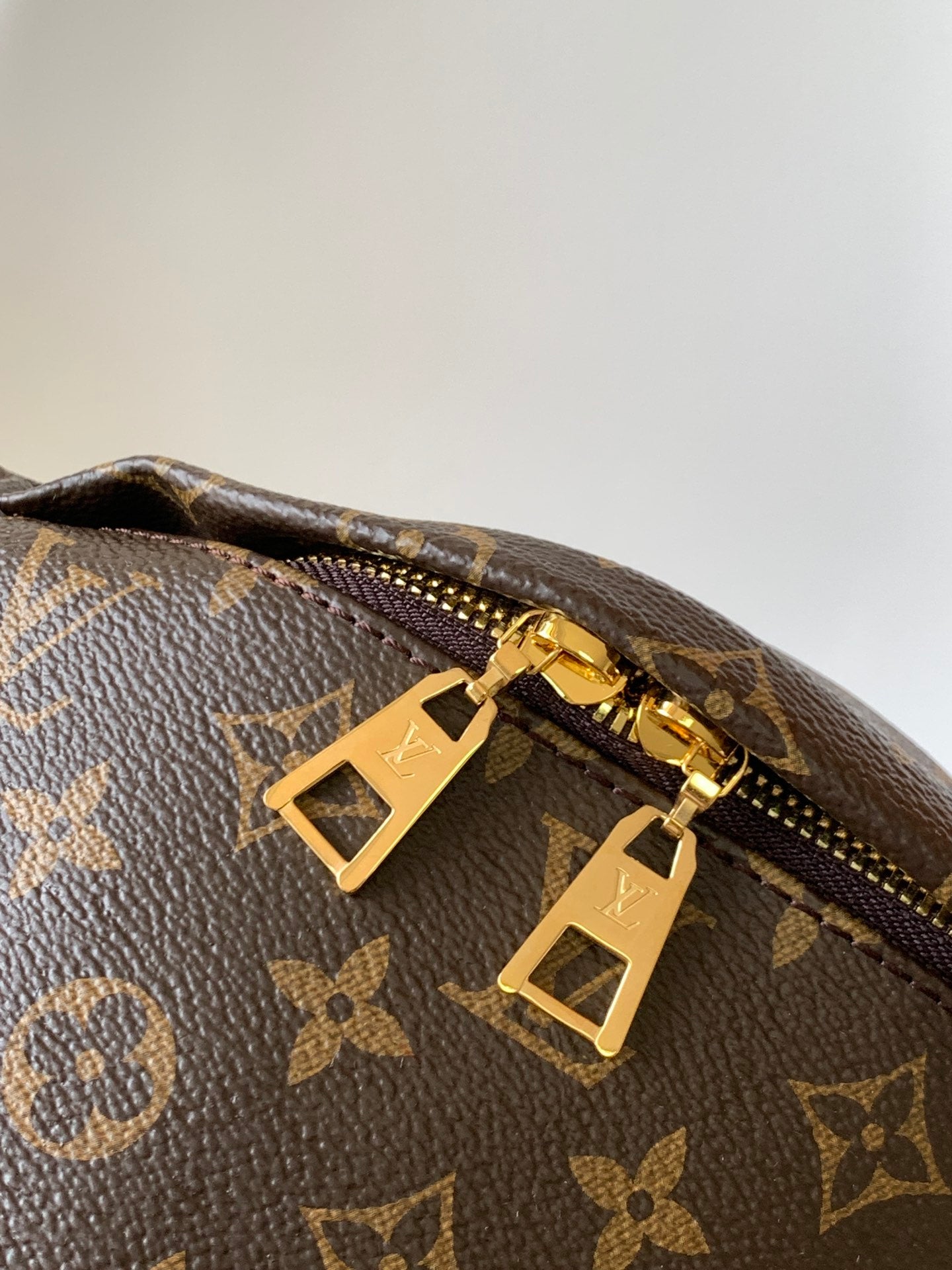 Louis Vuitton Bumbag Monogram