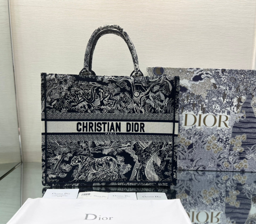 Dior Book Tote Bag