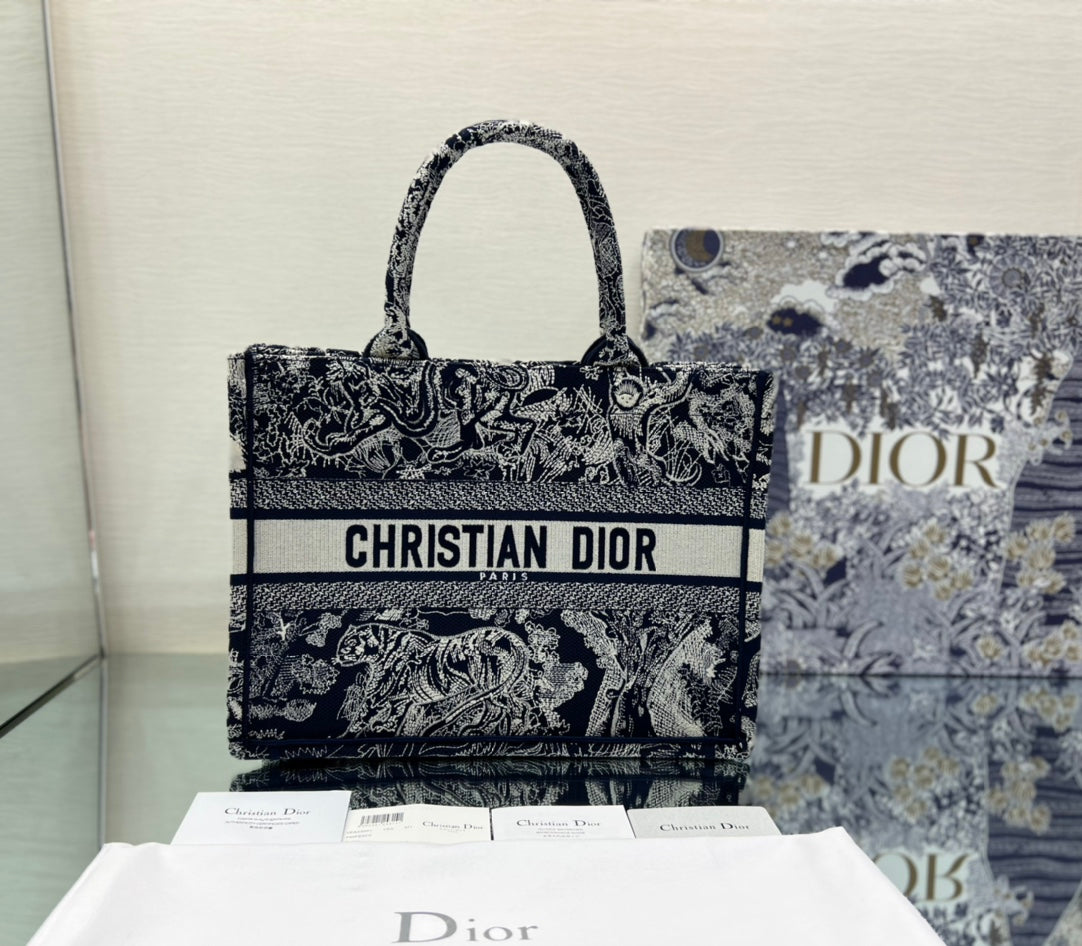 Dior Book Tote Bag