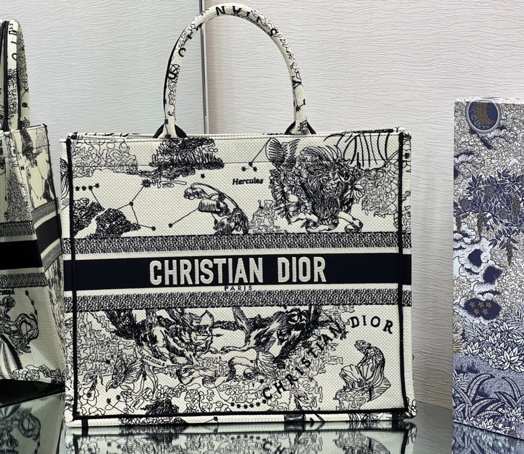 Dior Book Tote Bag