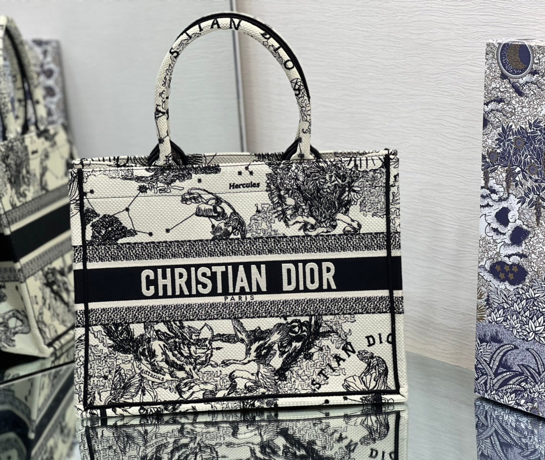 Dior Book Tote Bag