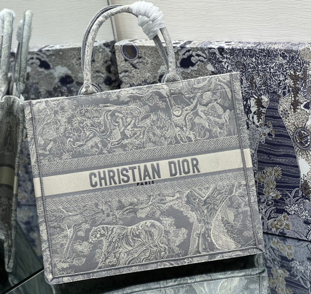 Dior Book Tote Bag
