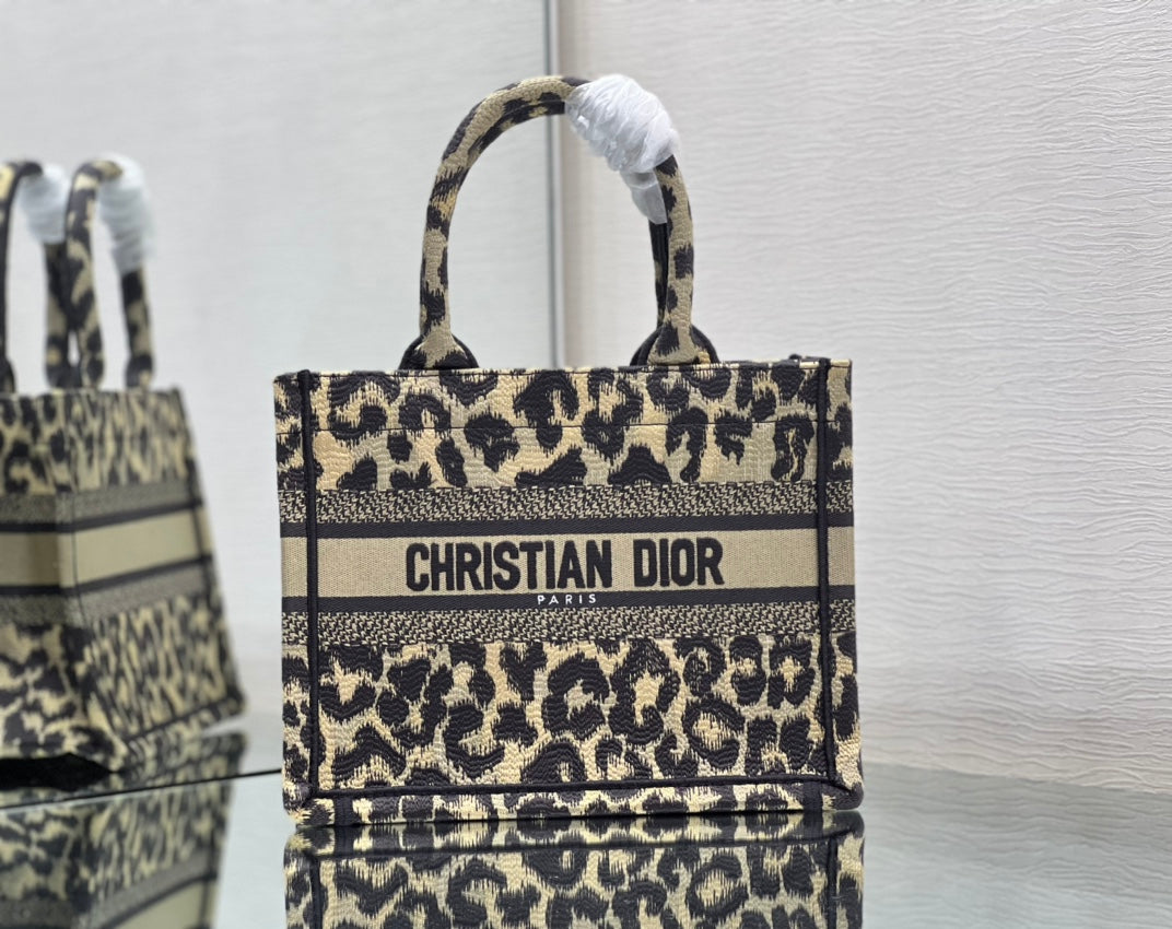 Dior Book Tote Bag