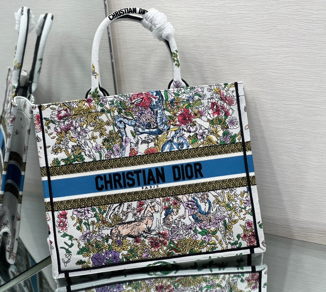 Dior Book Tote Bag