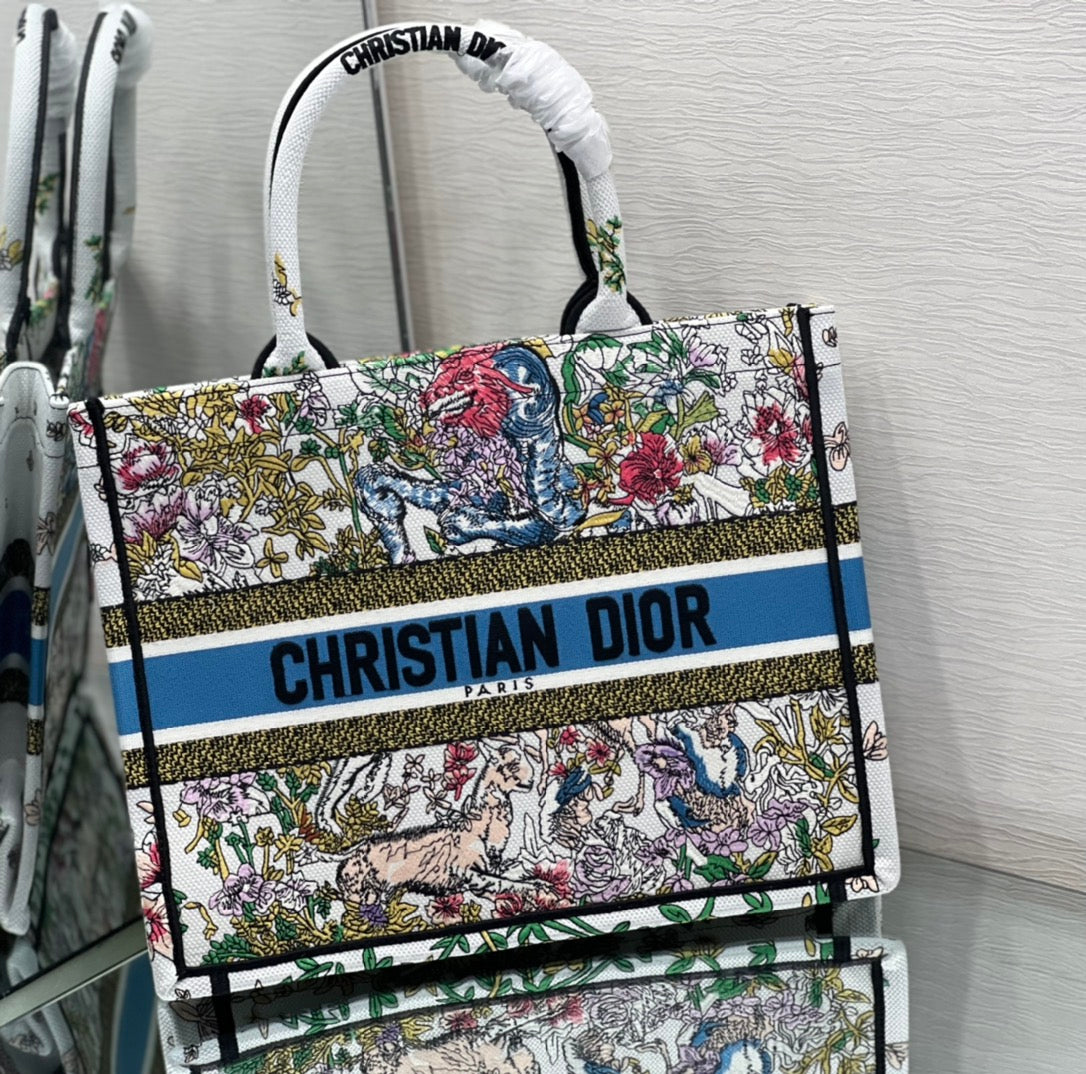 Dior Book Tote Bag