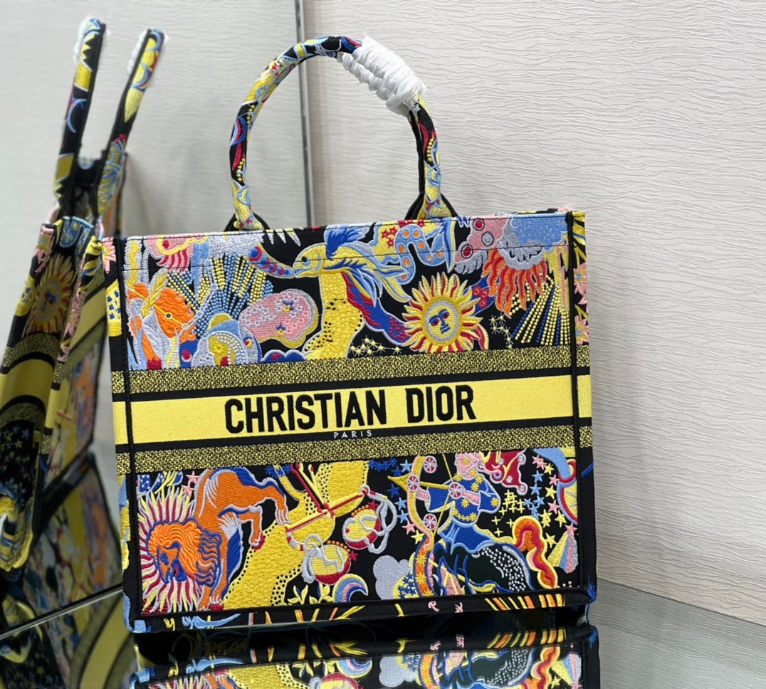 Dior Book Tote Bag