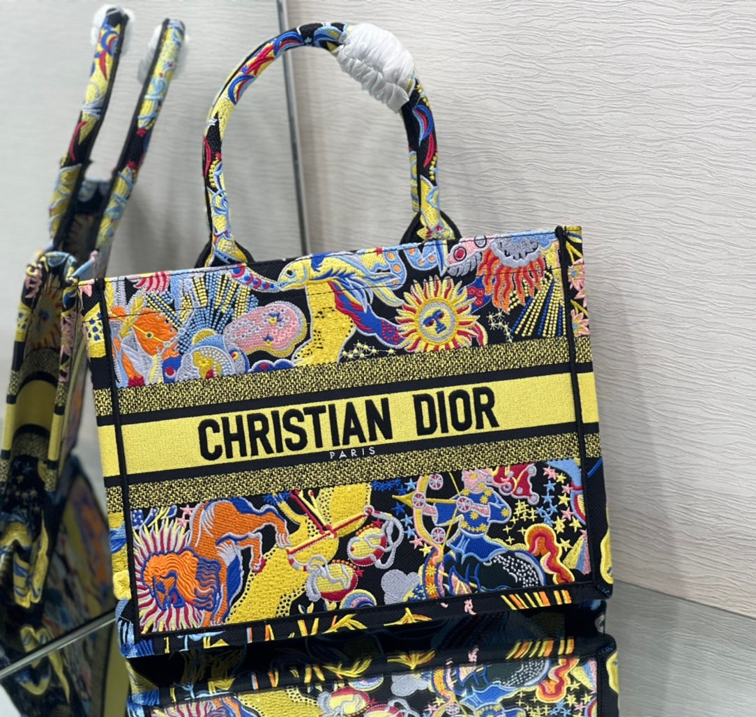 Dior Book Tote Bag