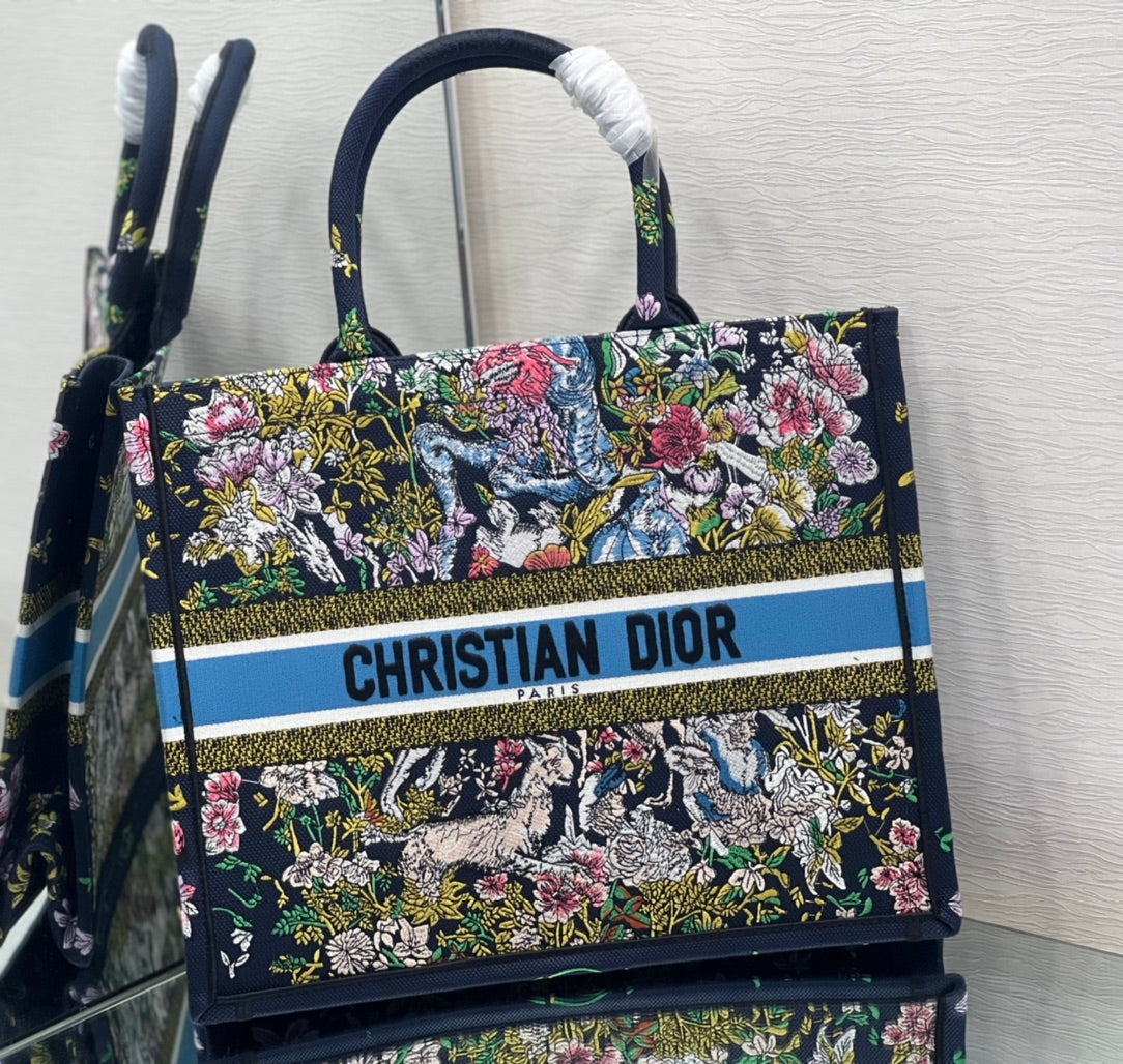 Dior Book Tote Bag