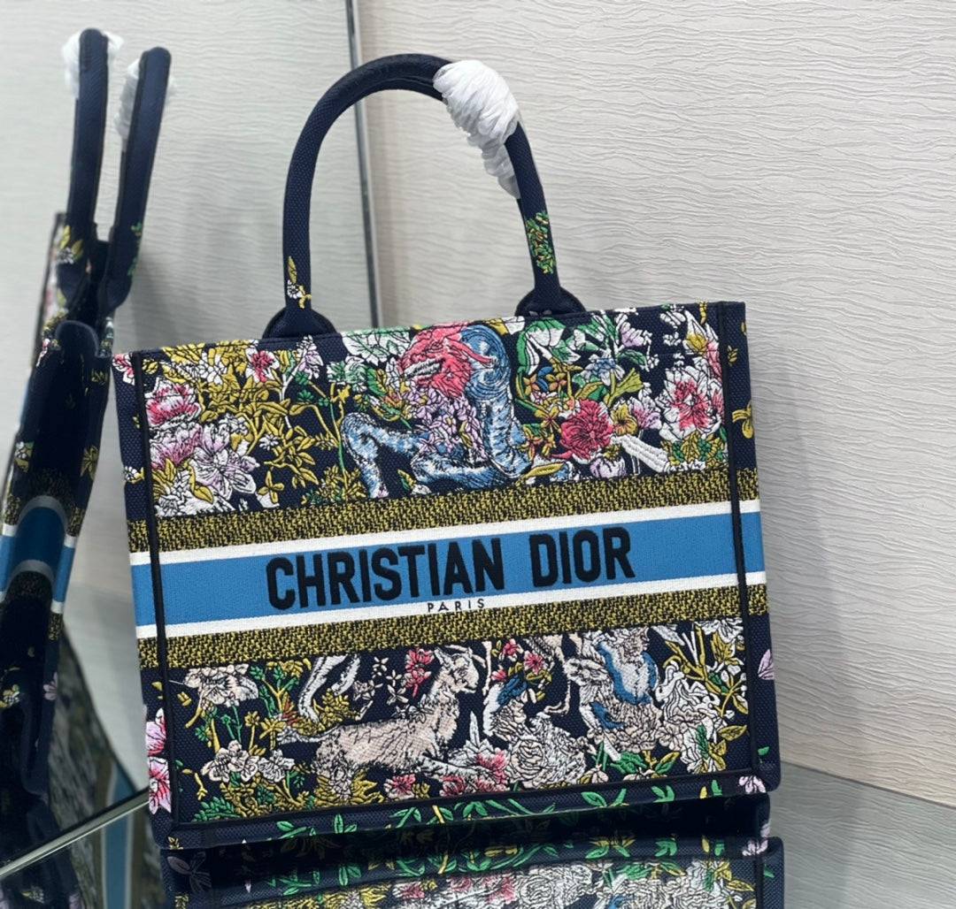 Dior Book Tote Bag
