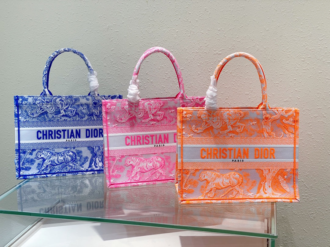 Dior Book Tote Bag