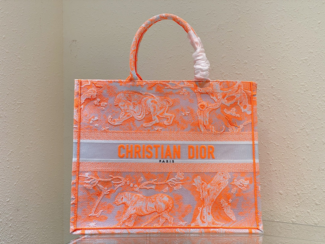 Dior Book Tote Bag