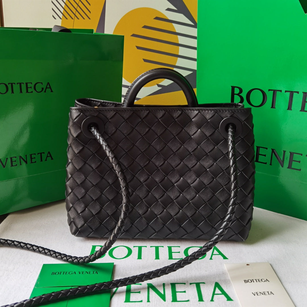 Bottega Veneta Andiamo Small Tote Bag