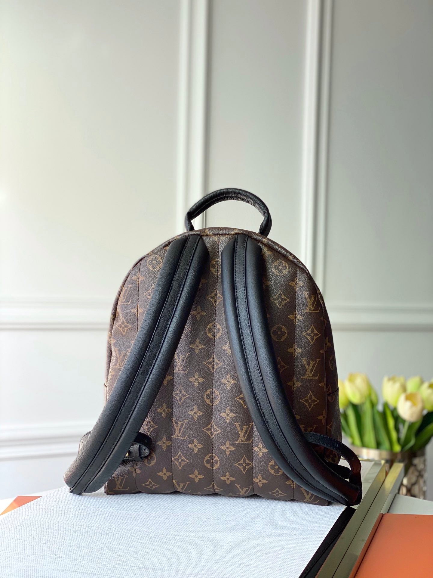 Louis Vuitton Palm Springs Backpack Mini, PM, MM