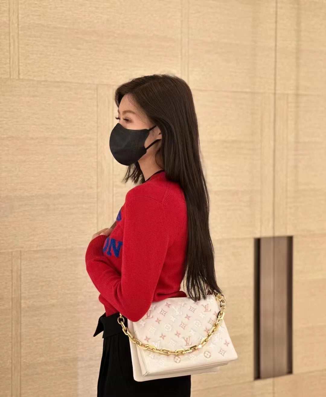 Louis Vuitton Coussin PM