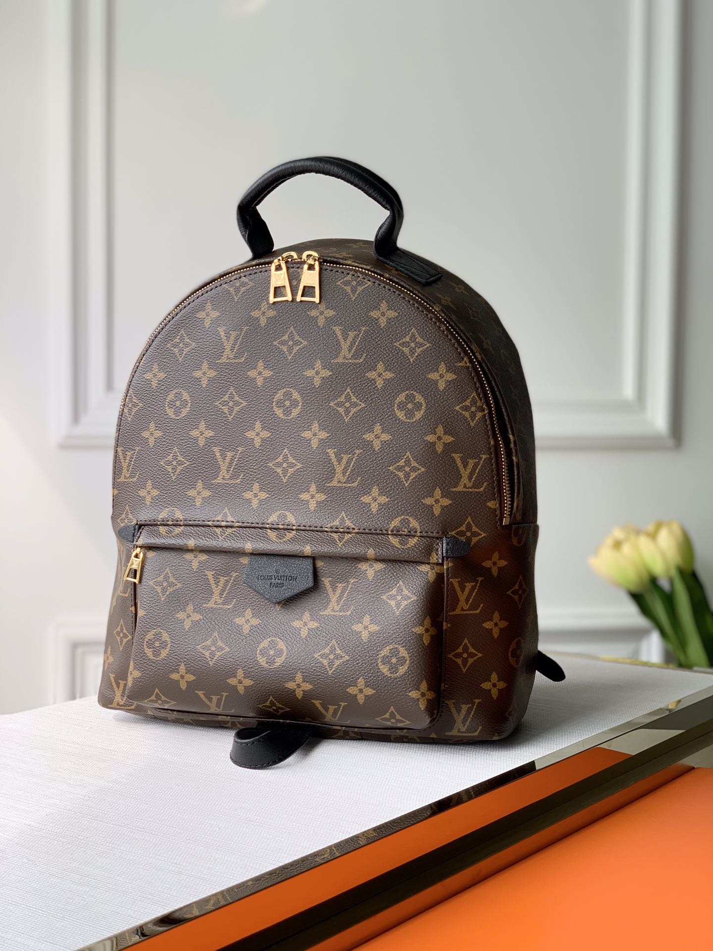 Louis Vuitton Palm Springs Backpack Mini, PM, MM