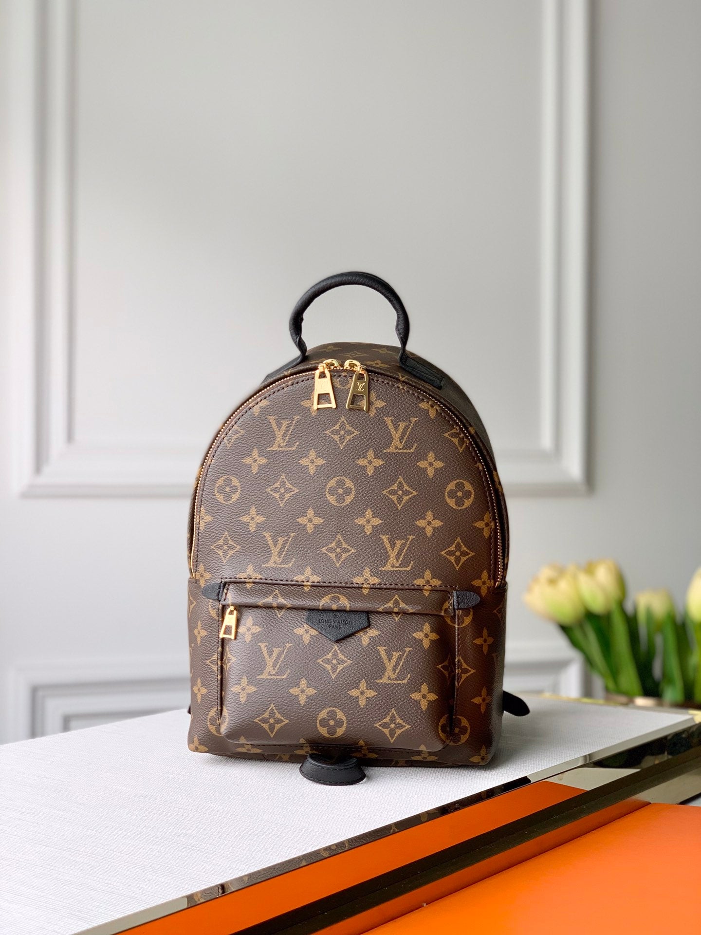 Louis Vuitton Palm Springs Backpack Mini, PM, MM