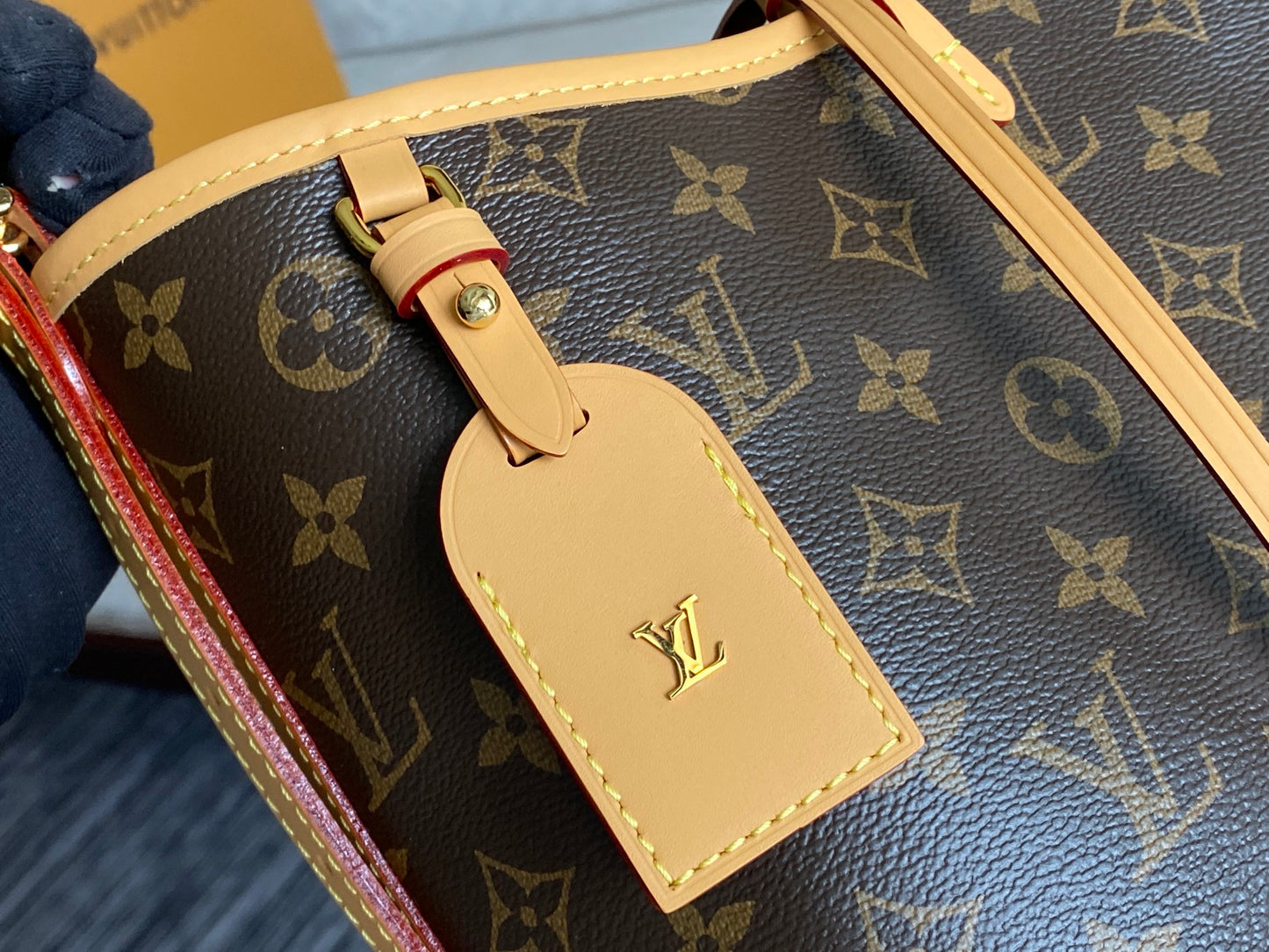 Louis Vuitton CarryAll Bag