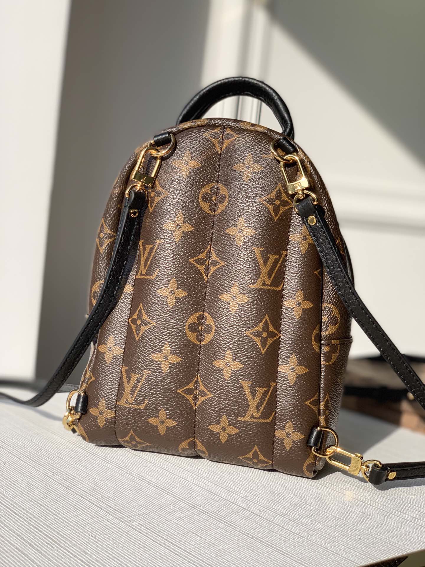 Louis Vuitton Palm Springs Backpack Mini, PM, MM