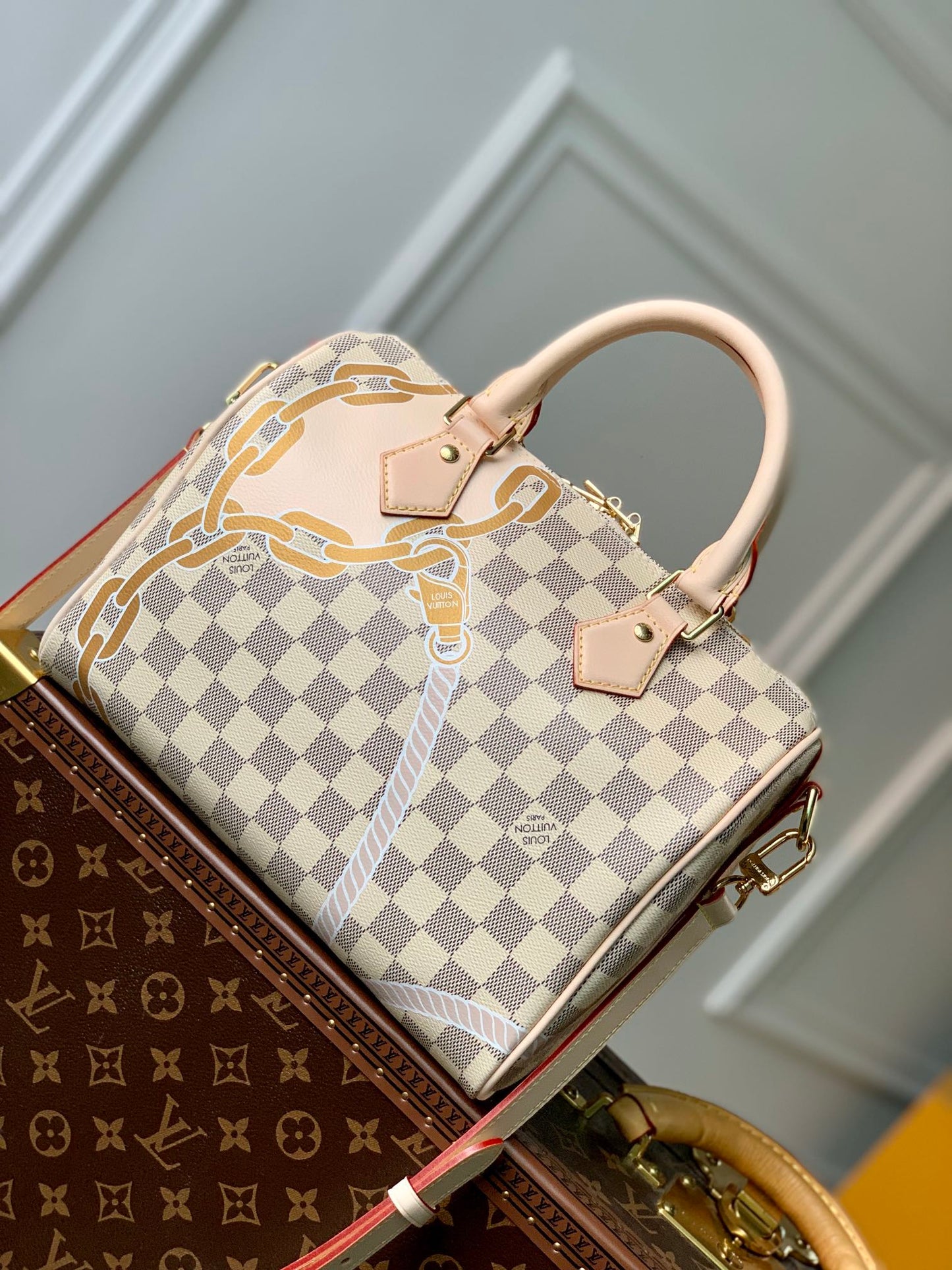 Louis Vuitton Speedy Bandoulière 25