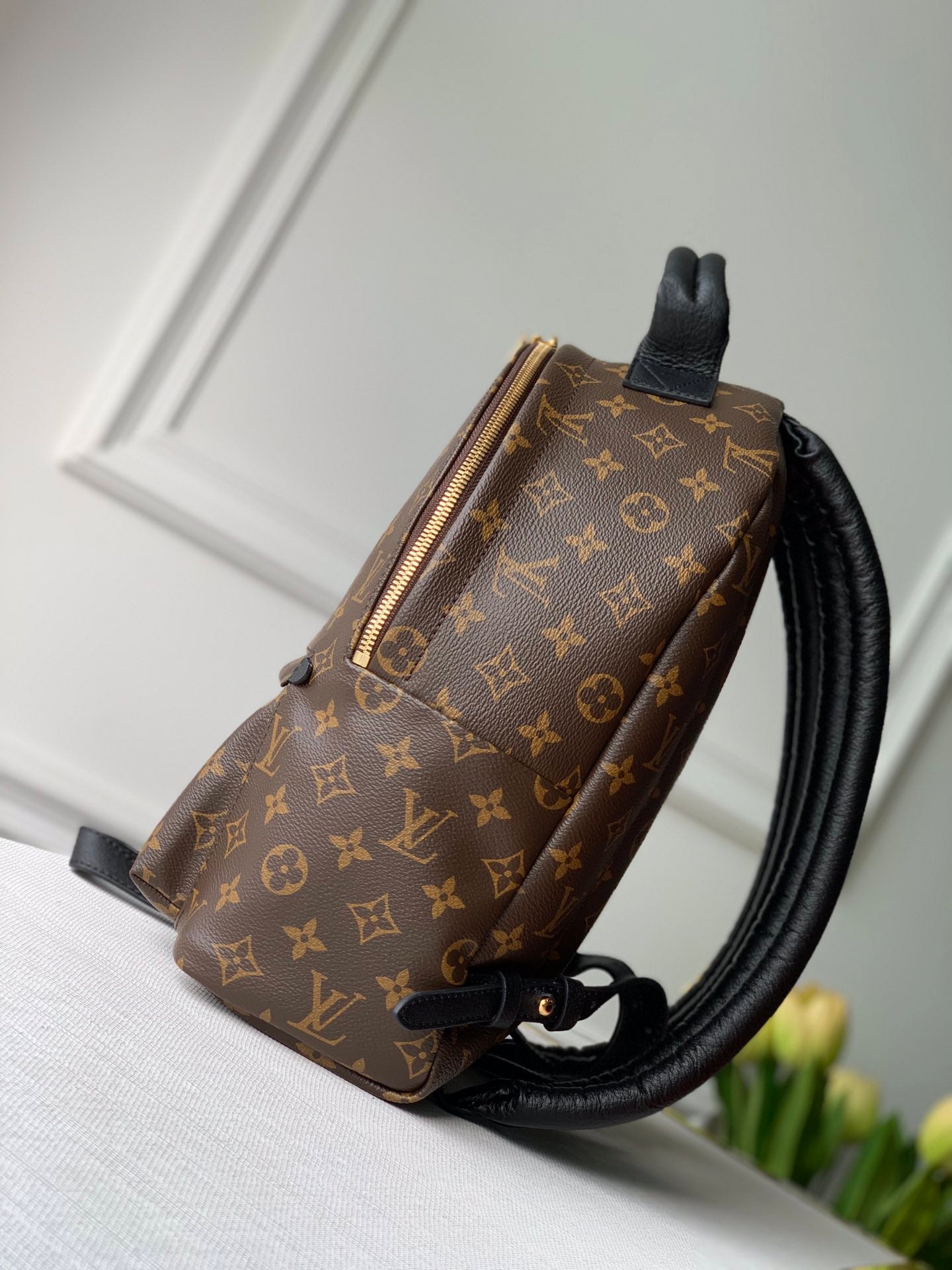 Louis Vuitton Palm Springs Backpack Mini, PM, MM
