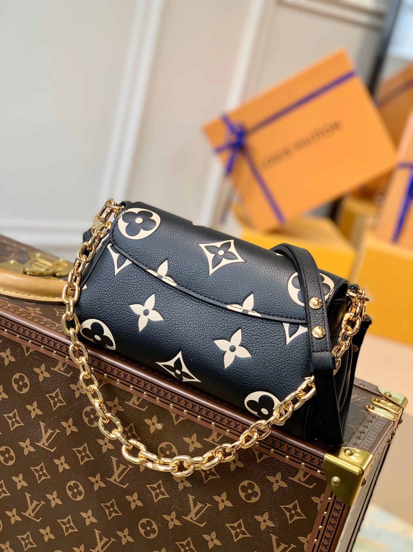 Louis Vuitton Favorite