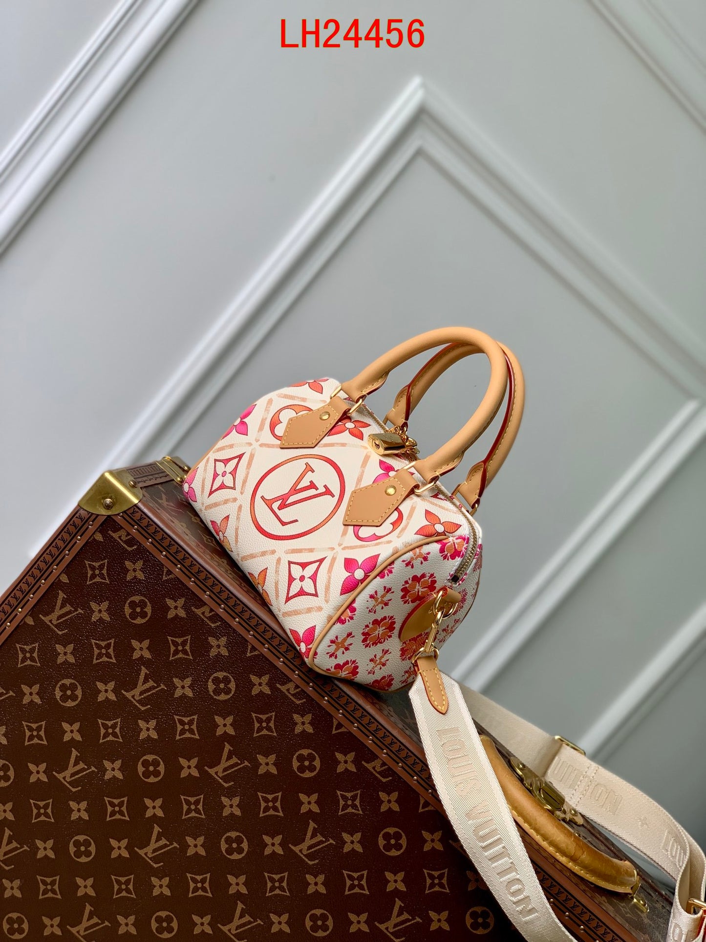 Louis Vuitton Speedy Bandoulière 20