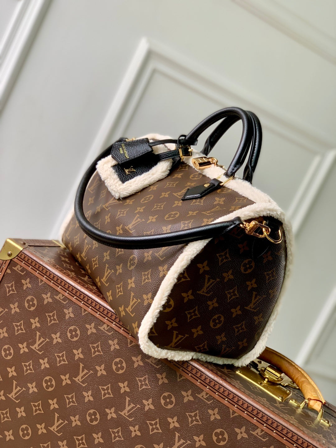 Louis Vuitton Speedy Soft 30 Teddy