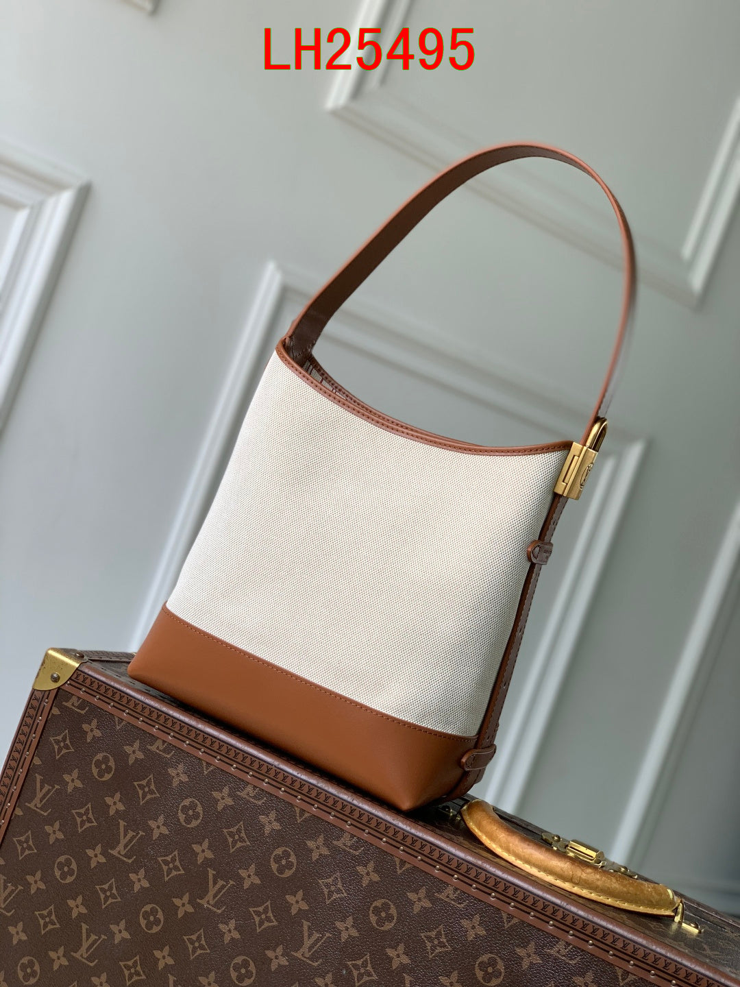Louis Vuitton Low Key Hobo PM canvas and calf leather