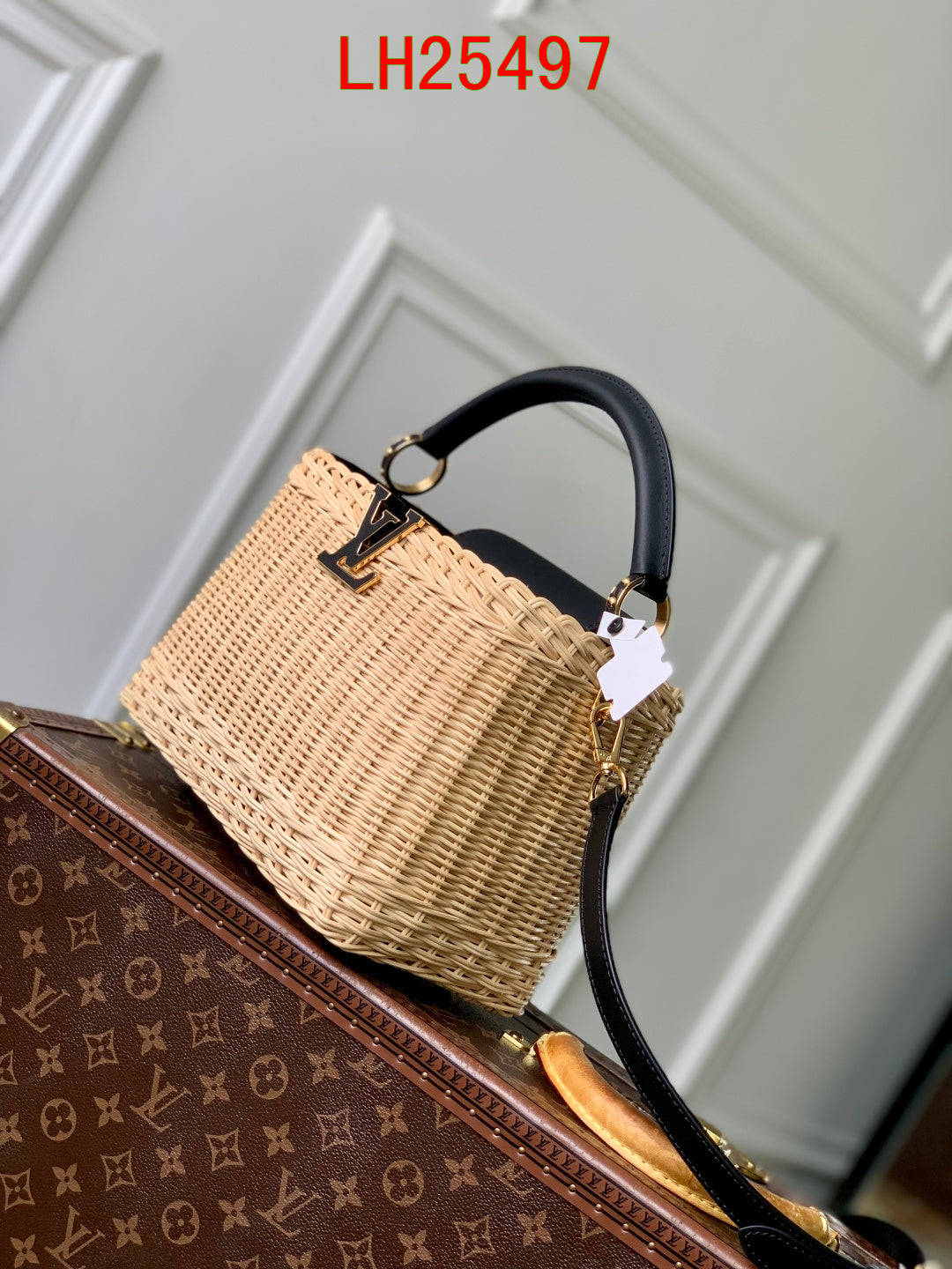 Louis Vuitton Capucines BB Picnic Trunk