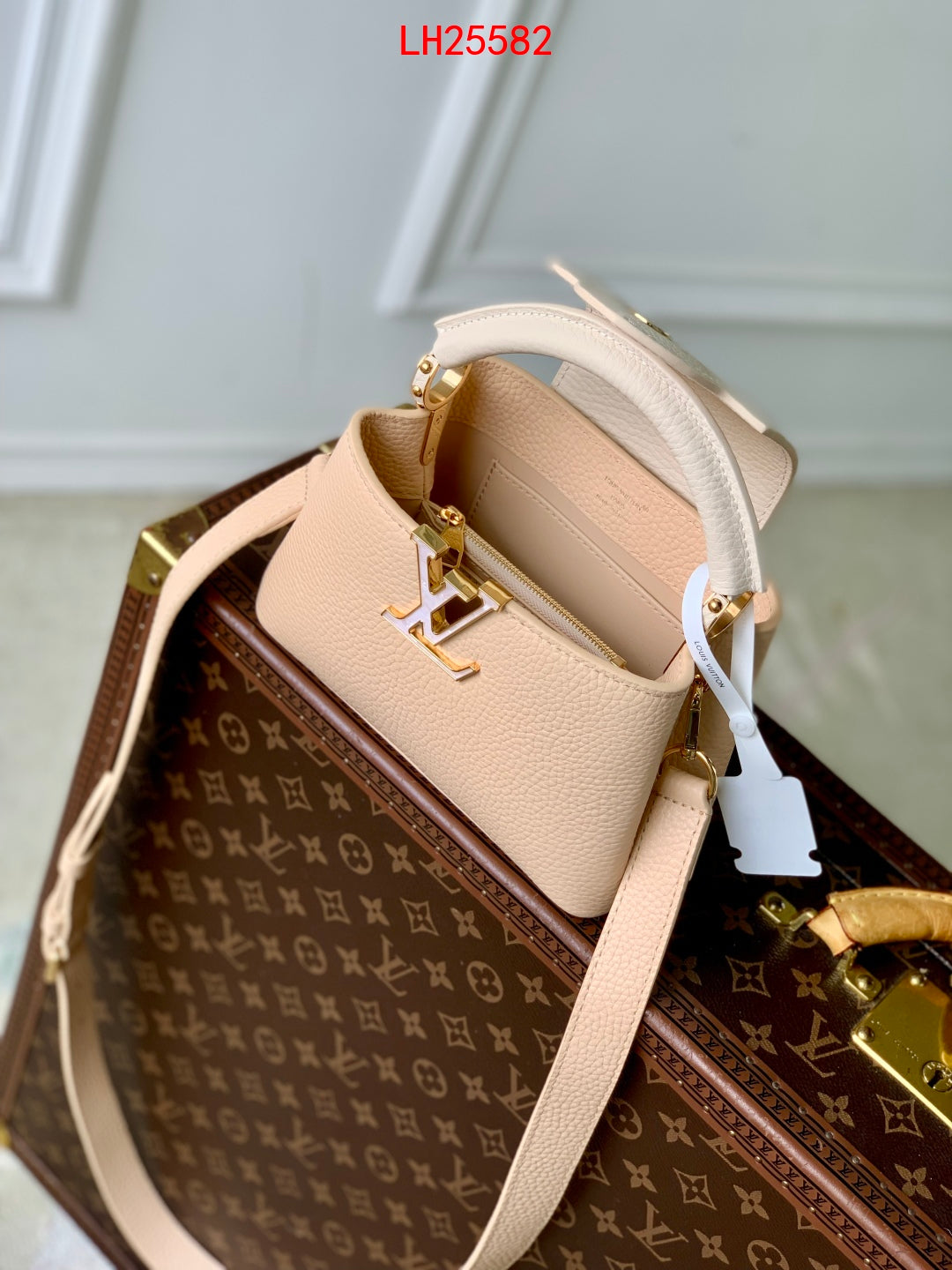 Louis Vuitton Capucines BB Daydream animation