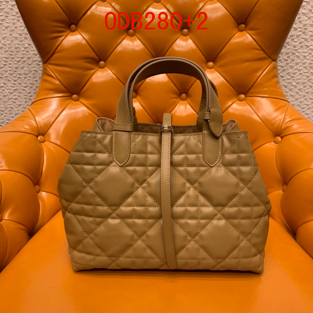 Dior Medium Dior Toujours Bag