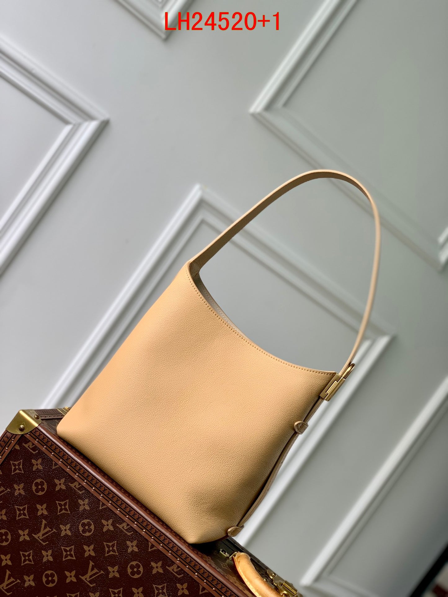 Louis Vuitton Low Key Hobo bag PM