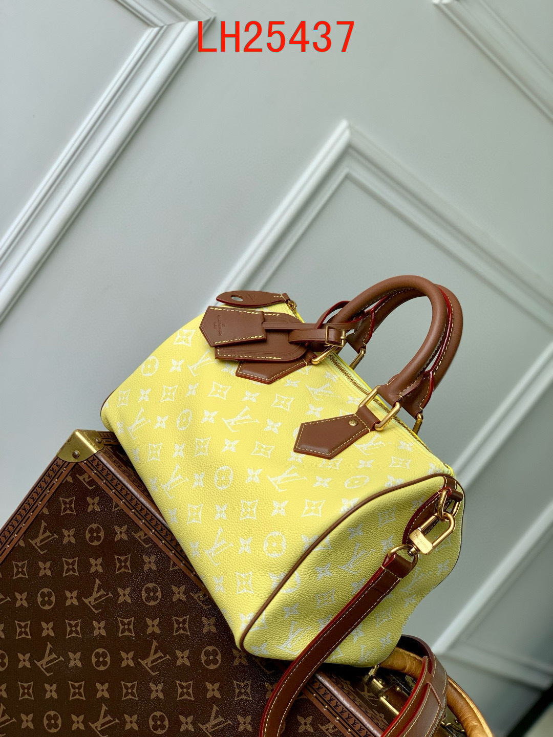 Louis Vuitton Speedy P9 Bandoulière 30 and 25