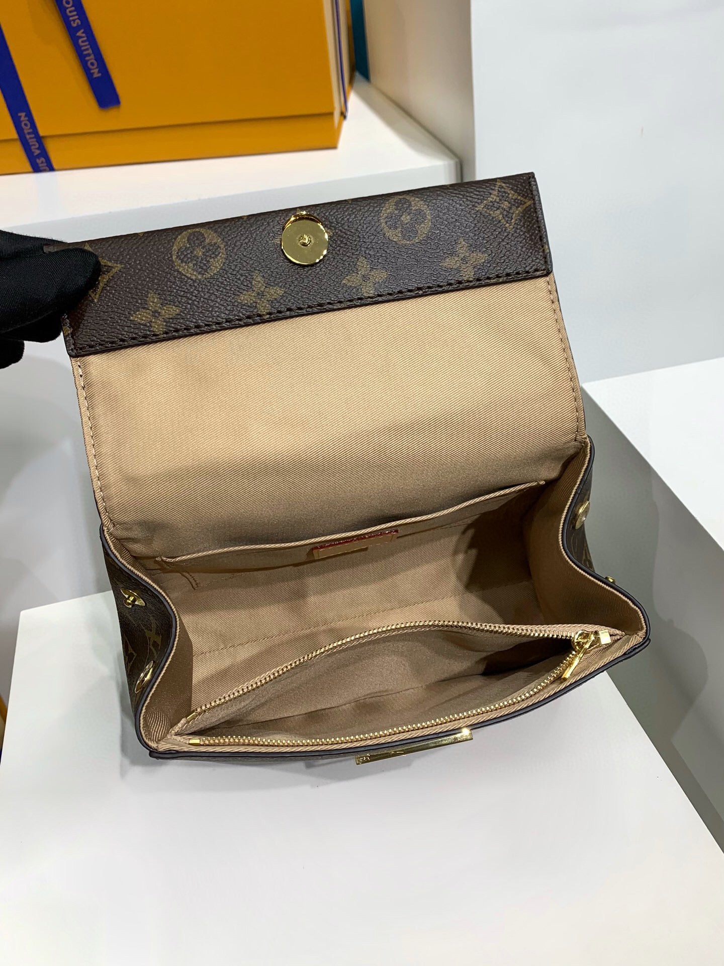 Louis Vuitton Cluny Mini