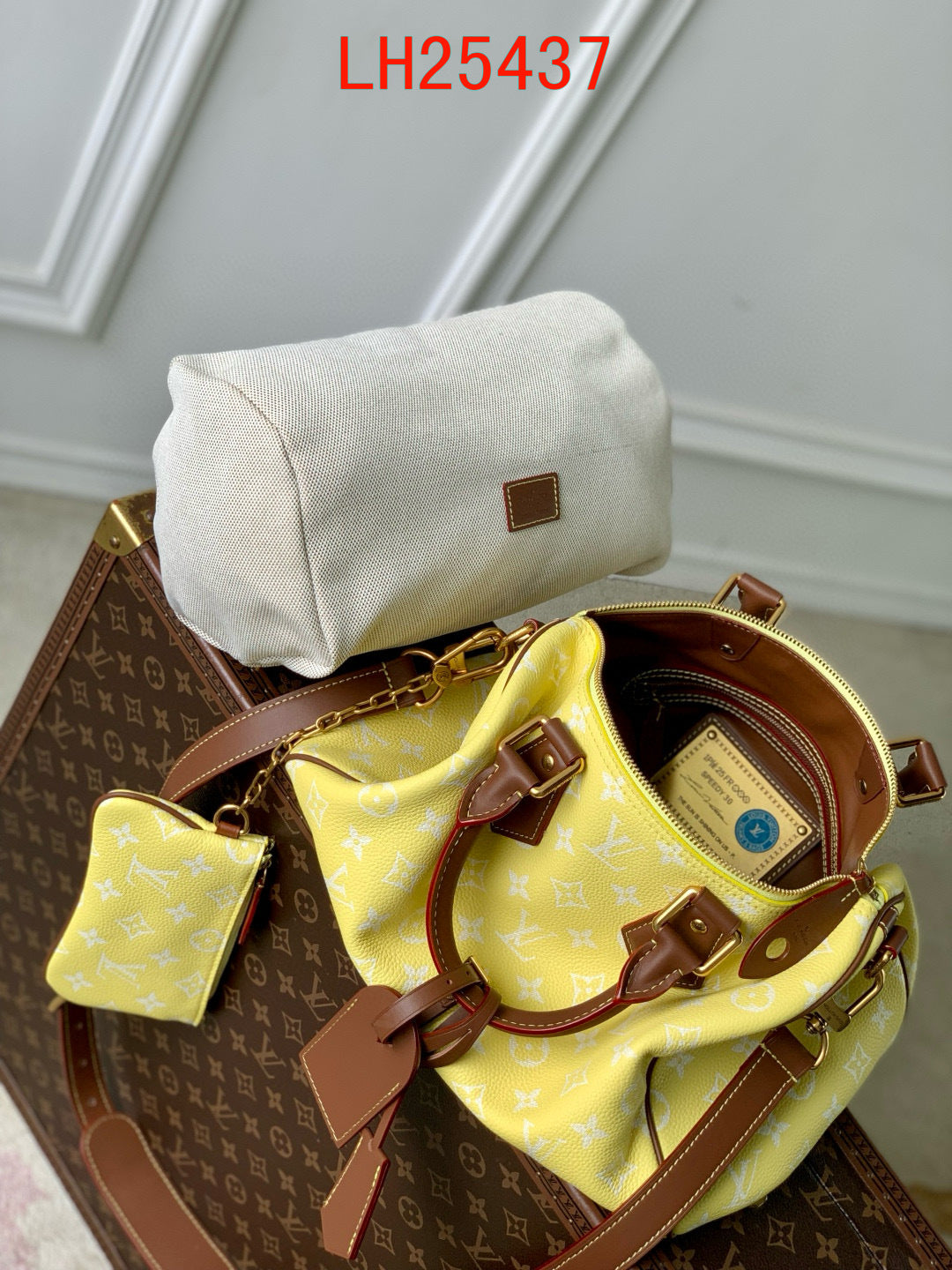 Louis Vuitton Speedy P9 Bandoulière 30 and 25