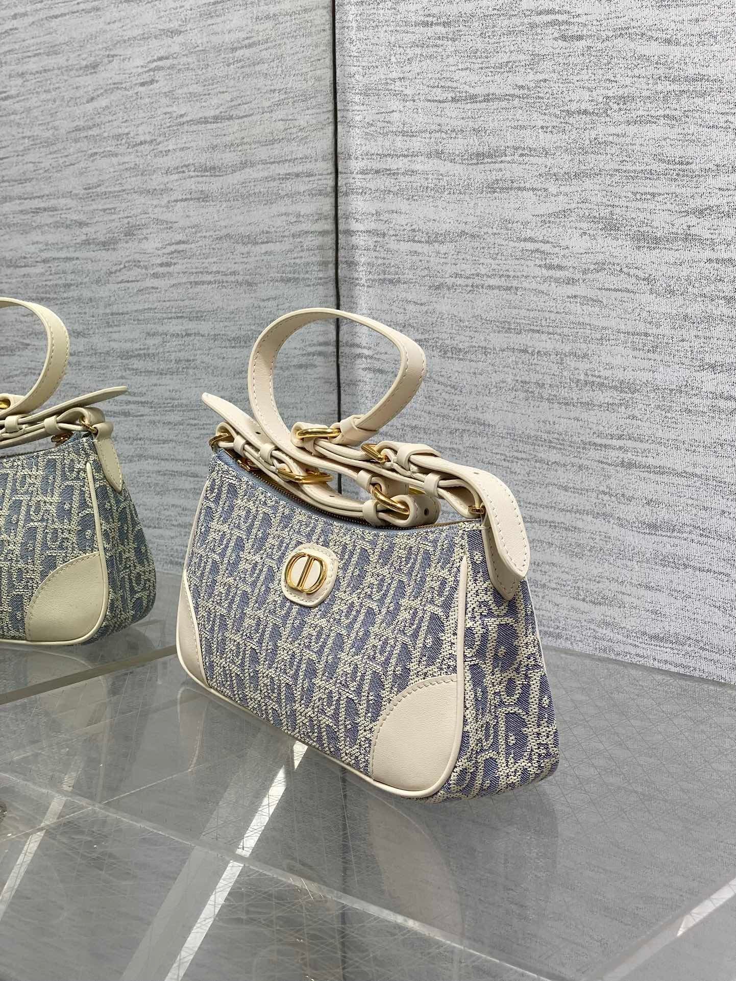 Dior Montaige 30 Wanderlust bag