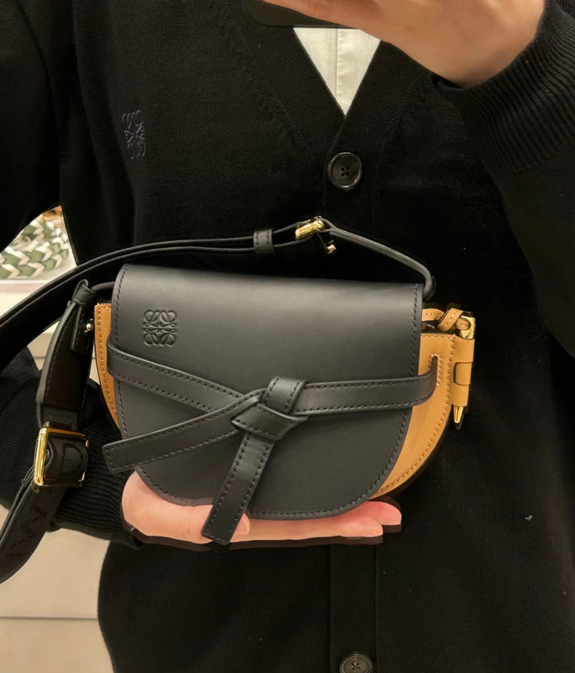 Loewe Mini Gate Dual bag