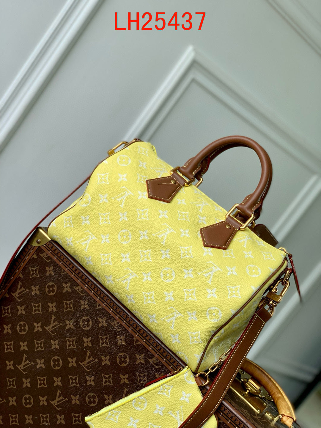 Louis Vuitton Speedy P9 Bandoulière 30 and 25