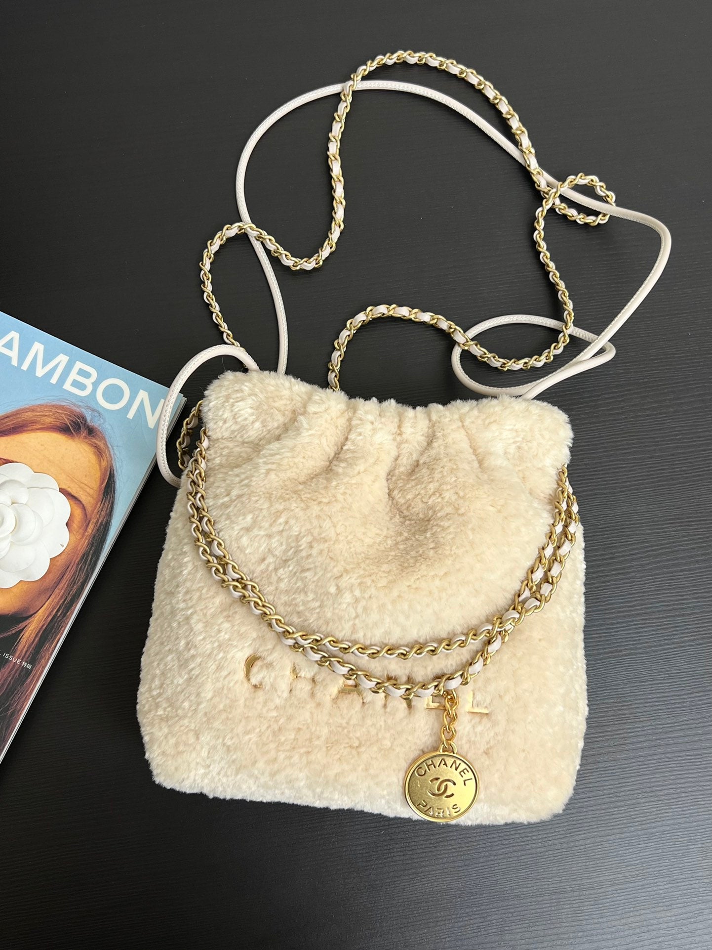 Chanel Teddy 22 bag mini