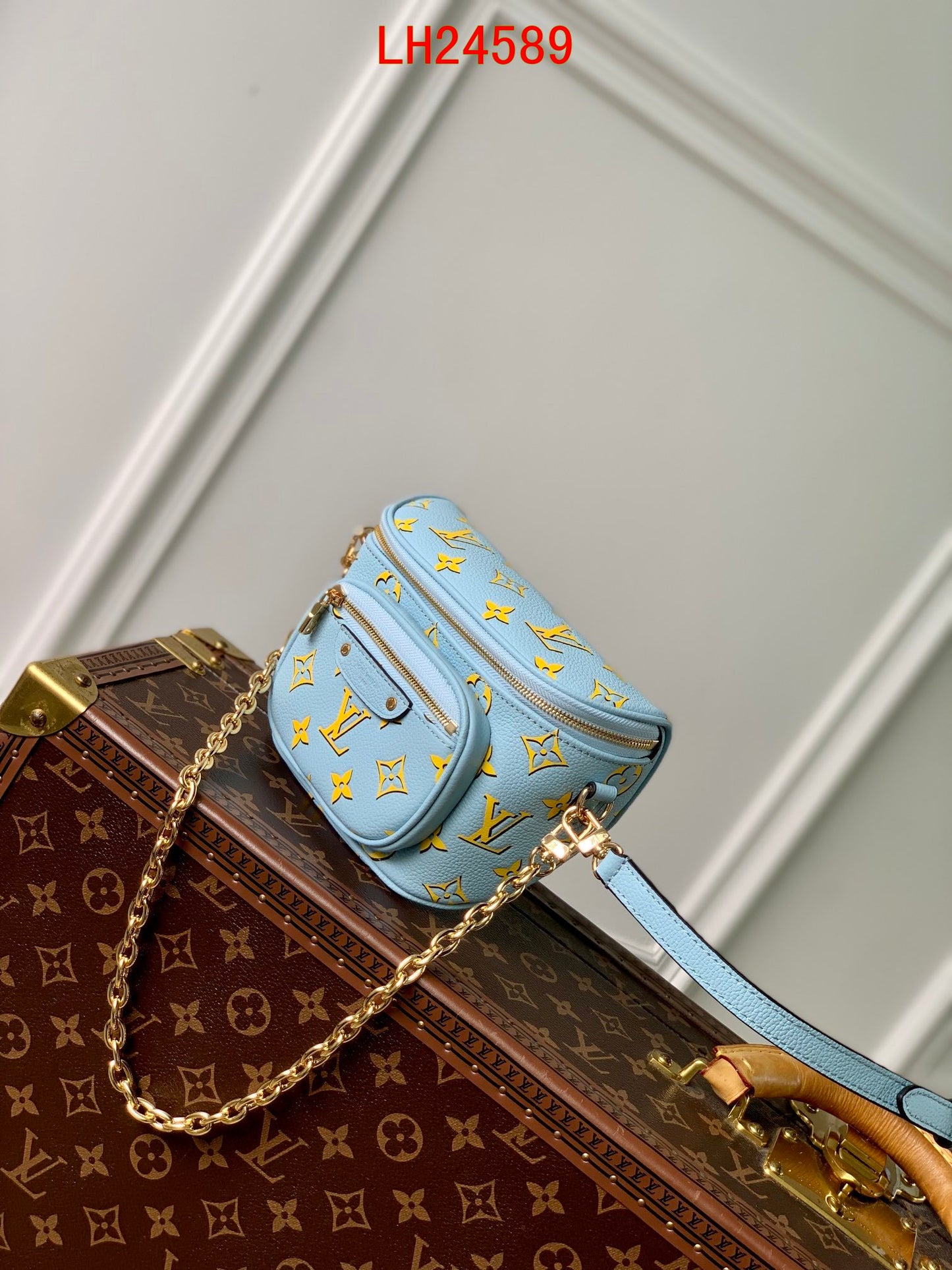 Louis Vuitton Mini Bumbag