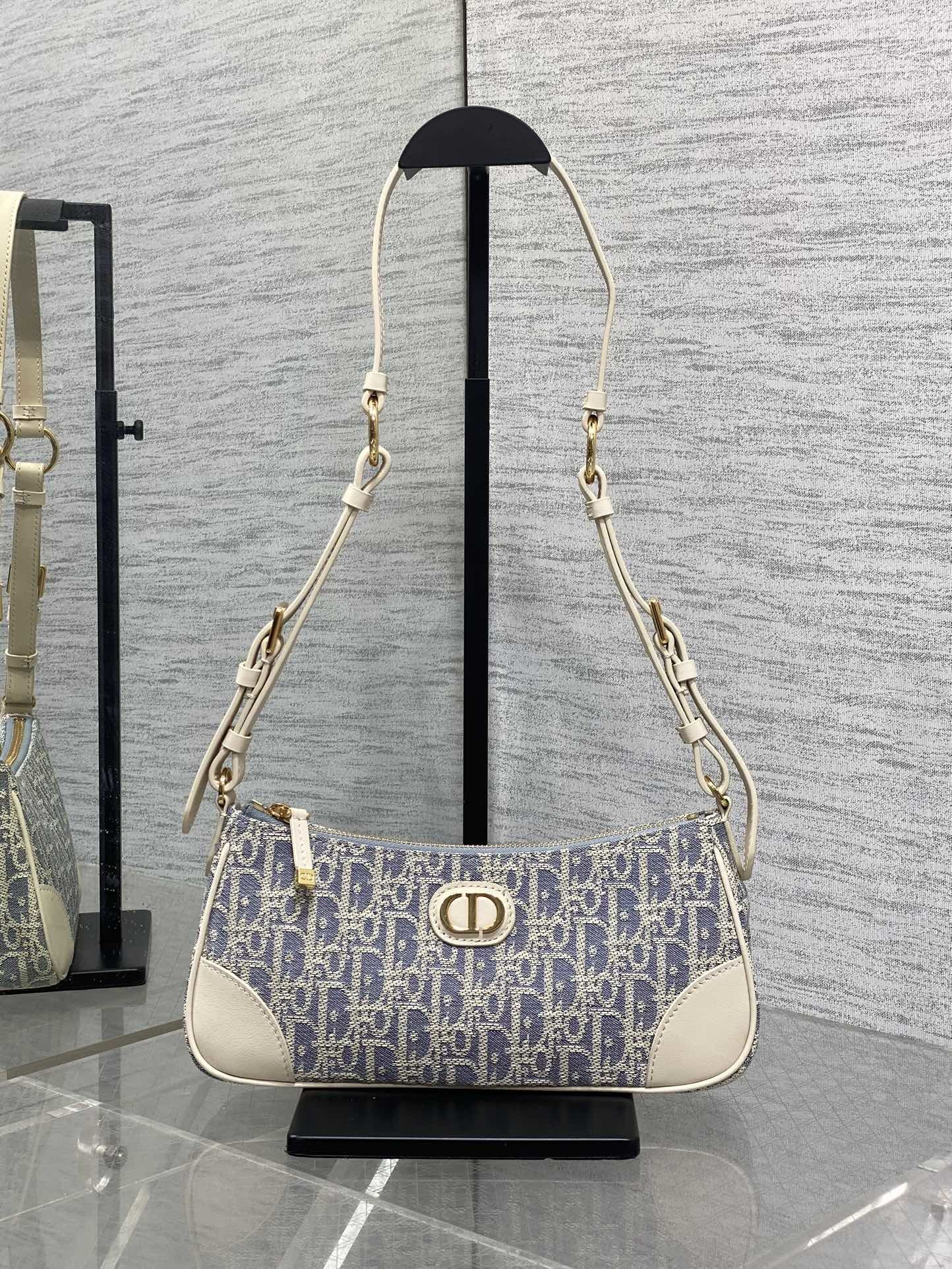 Dior Montaige 30 Wanderlust bag