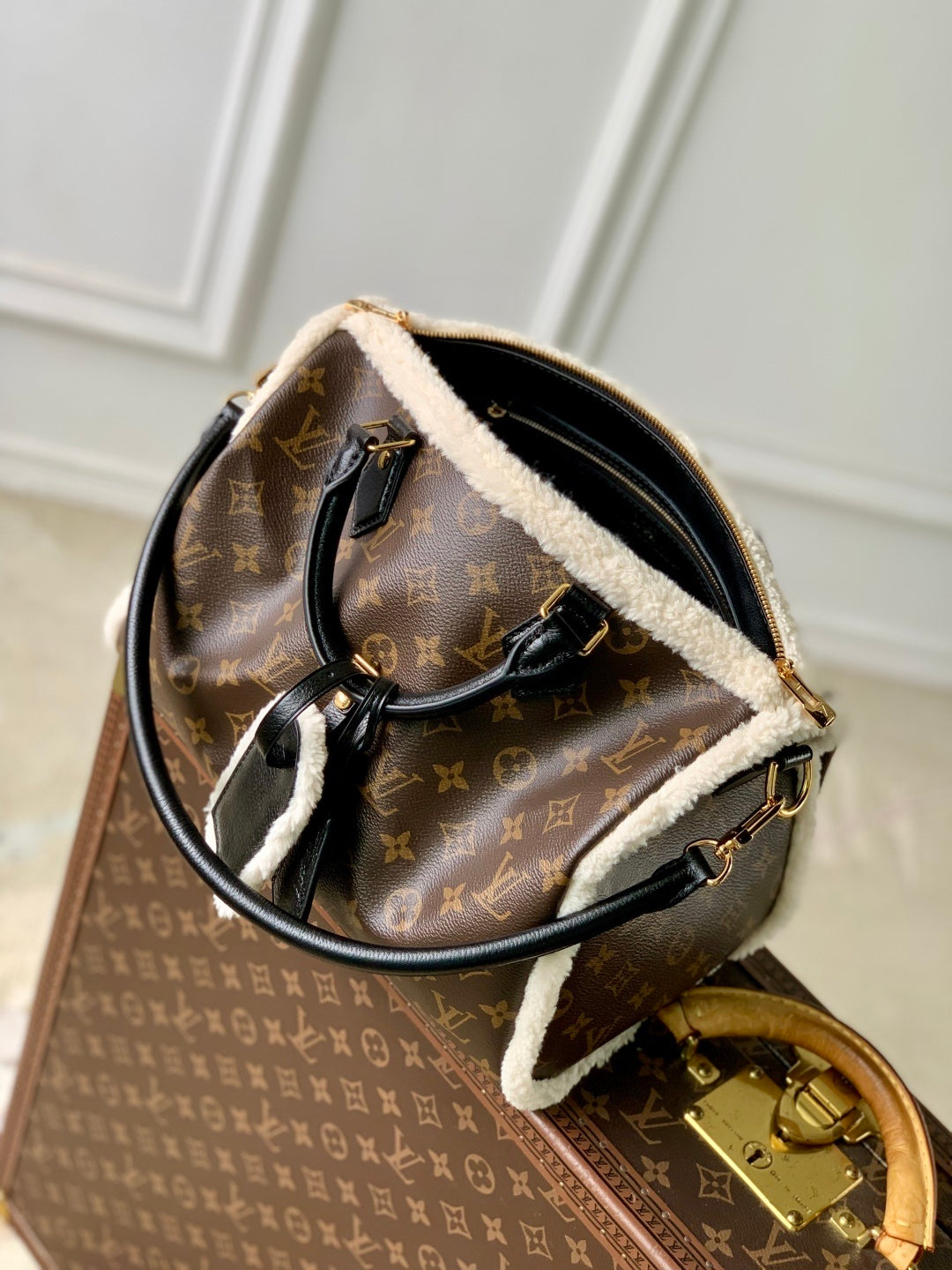 Louis Vuitton Speedy Soft 30 Teddy