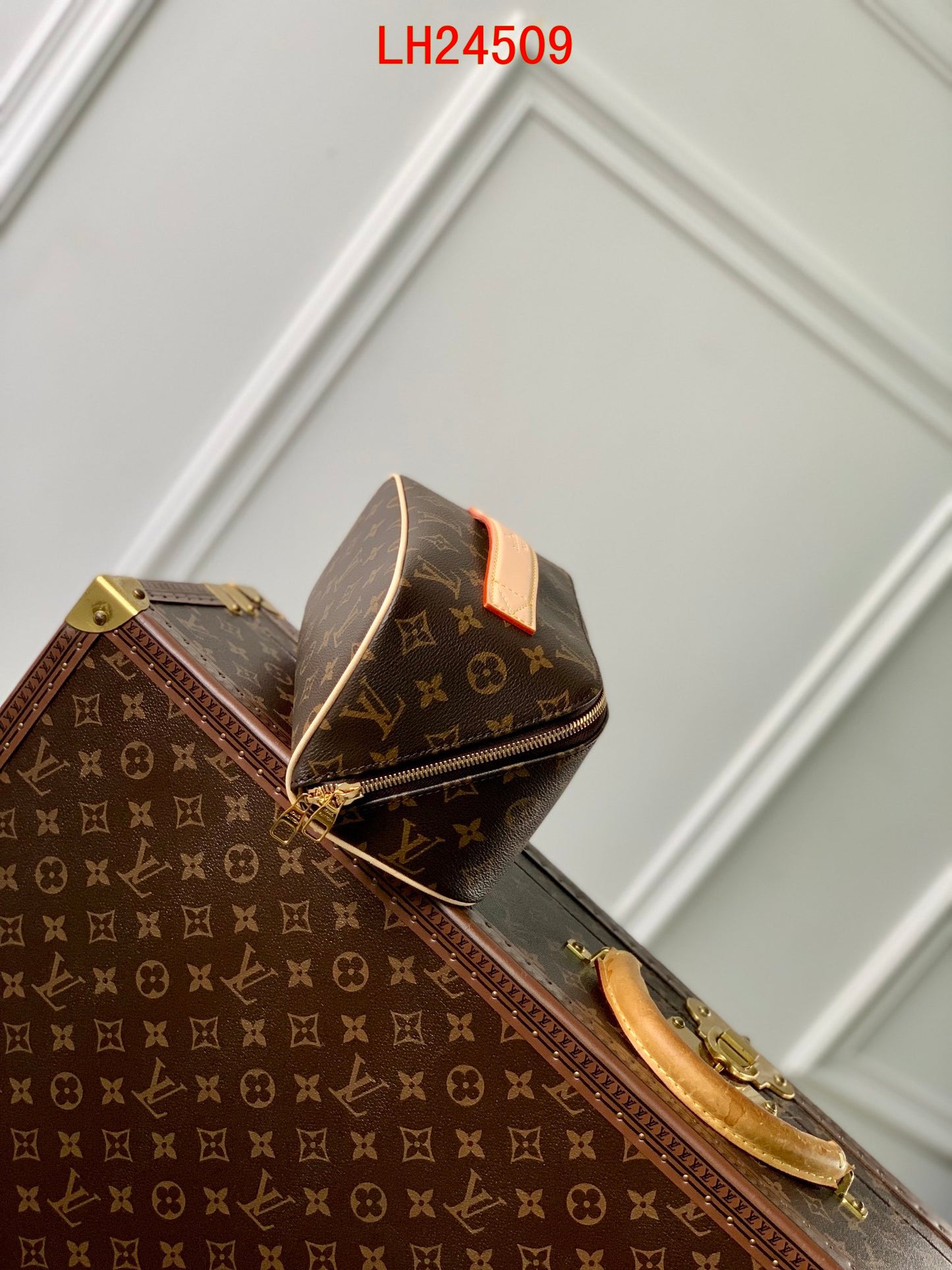 Louis Vuitton Toiletry Bag