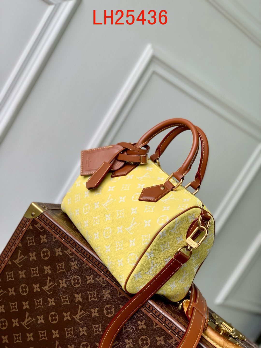 Louis Vuitton Speedy P9 Bandoulière 30 and 25