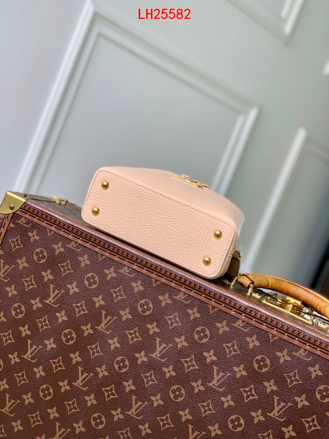 Louis Vuitton Capucines BB Daydream animation