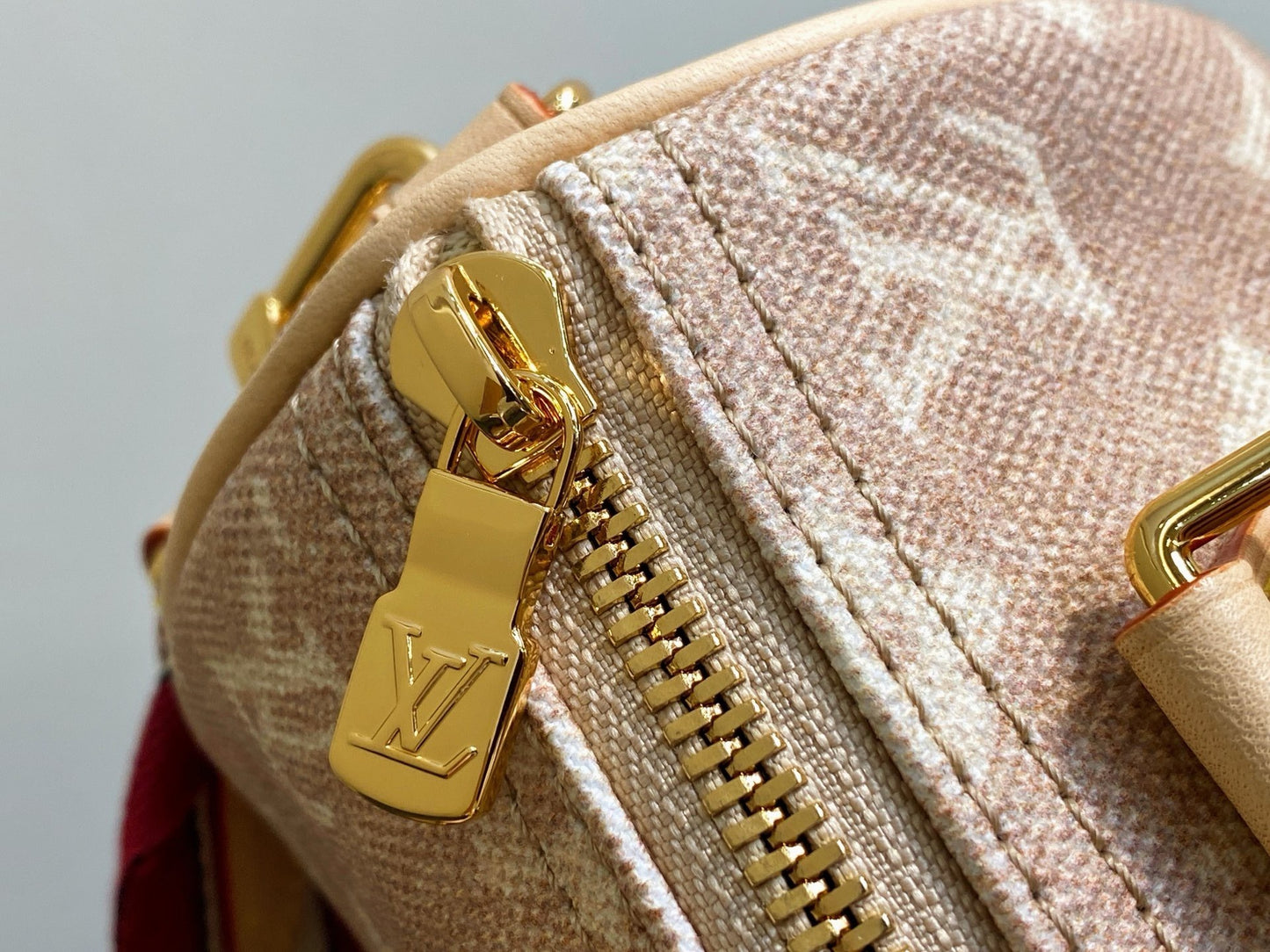 Louis Vuitton SPEEDY BANDOULIÈRE 20