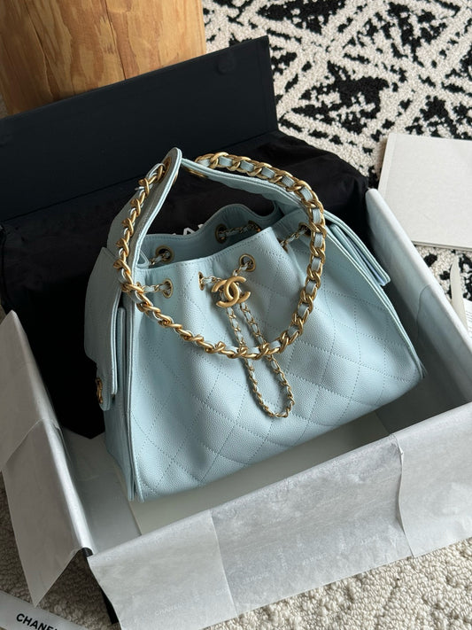 Chanel 25 Small bag