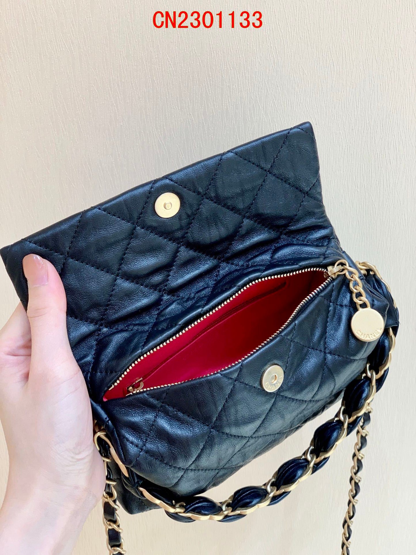 Chanel Small Hobo bag