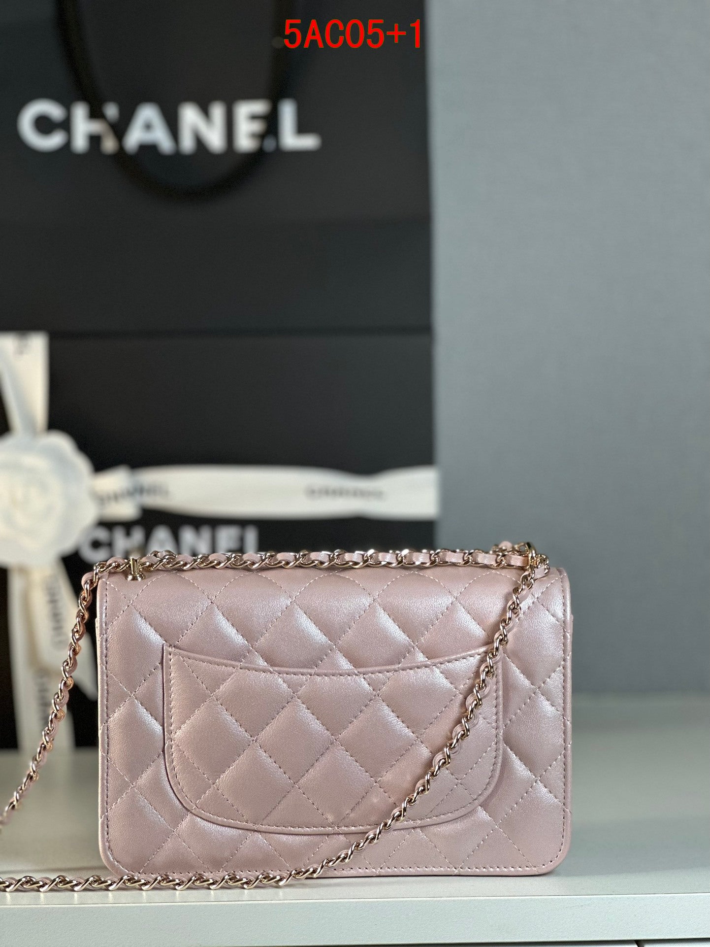 Chanel Woc leather bag