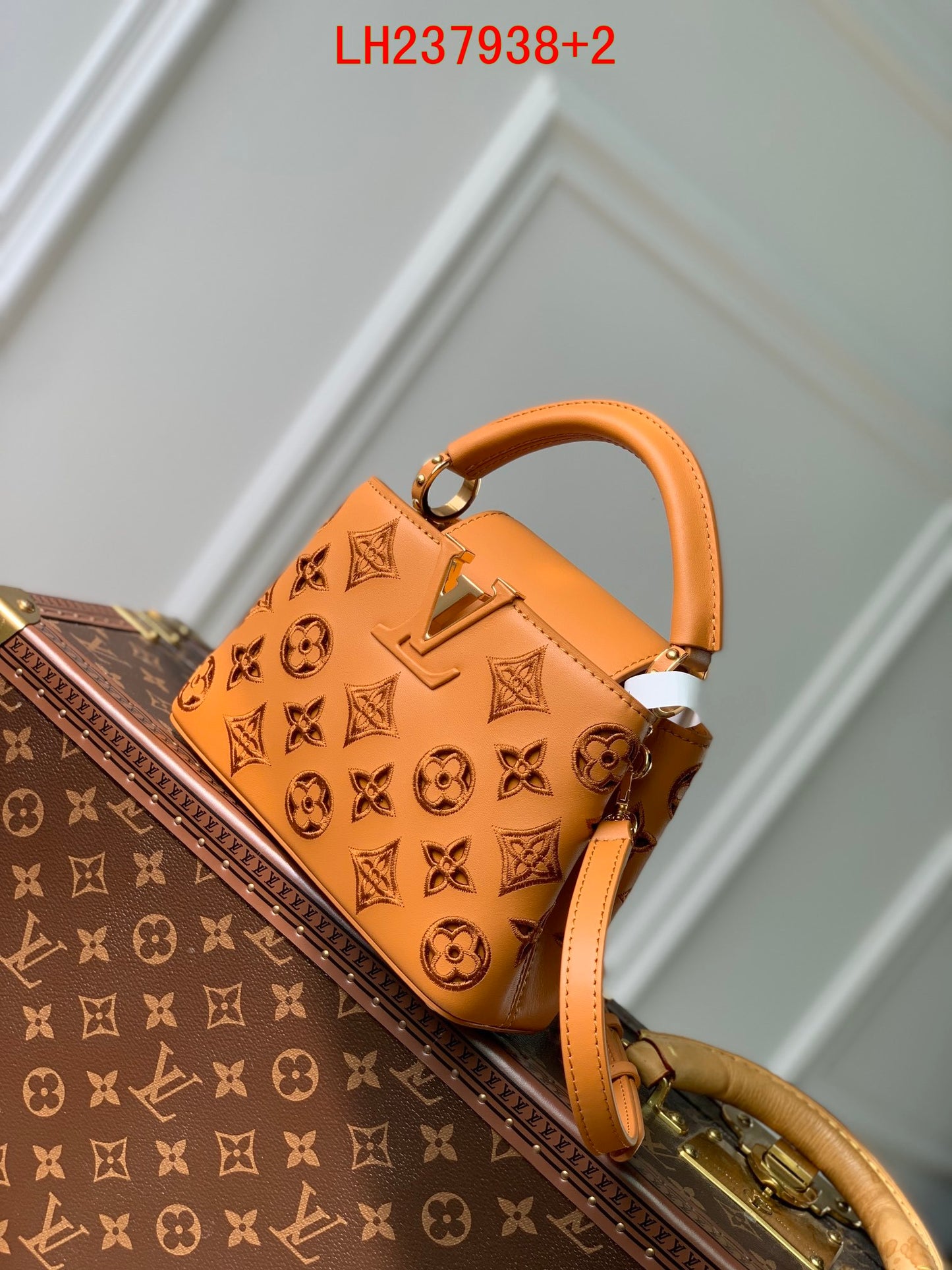 Louis Vuitton Capucines